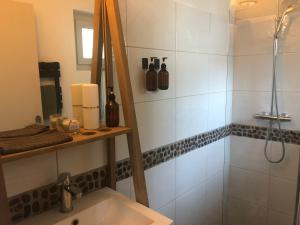 een badkamer met douche, wastafel en spiegel bij Jolie chartreuse in Toulouse