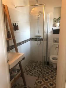 een badkamer met douche en toilet bij Jolie chartreuse in Toulouse