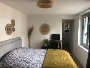 een slaapkamer met een bed, een televisie en een raam bij Jolie chartreuse in Toulouse