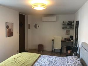 een slaapkamer met een bed, een bureau en een tafel bij Jolie chartreuse in Toulouse