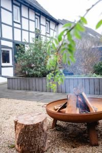 O grădină în afara HofZeit2