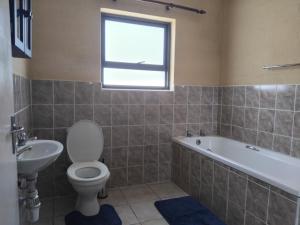 a bathroom with a toilet and a tub and a sink at Magic Flame farm in Hopefield