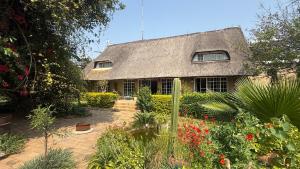 Zahrada ubytování Farm Vibes Guest House