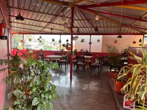 Restaurace v ubytování Magic Restaurant Hotel + 19 fotografií