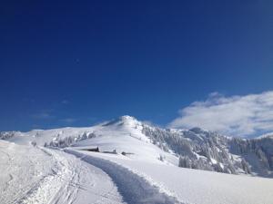 una montaña cubierta de nieve con una pista de esquí en WS-Appartement, en Kitzbühel
