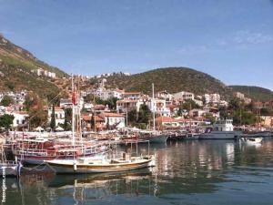 um grupo de barcos está ancorado num porto em Denizci Pension em Kas