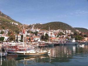 a group of boats are docked in a harbor at Denizci Pension in Kaş