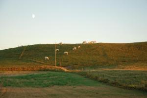 Priroda u blizini of the bed and breakfast