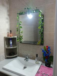 ein Badezimmer mit Waschbecken und Spiegel in der Unterkunft La coquette de sidi bousaid in Sidi Bou Saïd