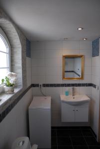 een badkamer met een wastafel, een toilet en een spiegel bij Vallebergaslätt in Löderup