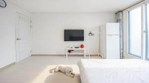 En eller flere senge i et værelse på Sokcho World Pet-Friendly (Paid) Pension