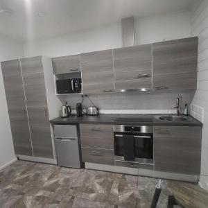 Køkken eller tekøkken på Cozy studio with a wood burning sauna