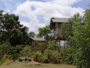 a house in the middle of some trees at Sigiri Forest View in Sigiriya