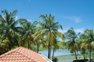 Naturlandskabet i nærheden af villaen