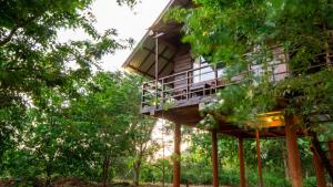 a tree house in the middle of the forest at Chena Huts Eco Resort in Sigiriya