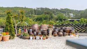 un grupo de macetas y plantas en maceta en un jardín en Gangneung ggabinejip hanok pension, en Gangneung 2 fotos más