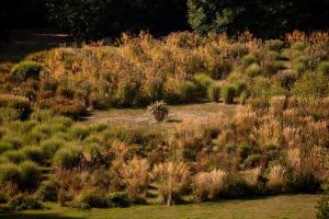 Naturlandskabet i nærheden af pensionatet