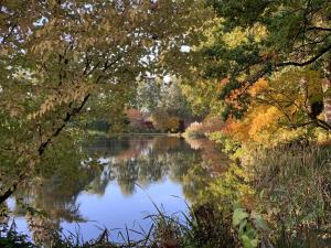 Naturlandskabet i nærheden af pensionatet
