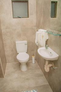 un bagno con un water e un lavandino di Dzire Guesthouse a Thohoyandou