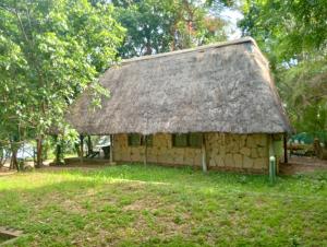 Zahrada ubytování Chalet along Zambezi River with Swimming Pool & WiFi & Safari & Boat Cruise