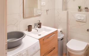 een badkamer met een wastafel en een toilet bij Beautiful Apartment In Dingac With Wifi in Gornji Dingač