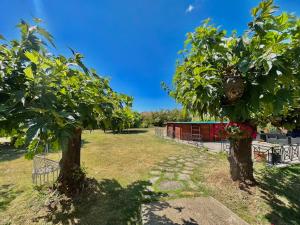 twee bomen in een veld naast een gebouw bij Occitemps in Saint Julien Les Rosiers