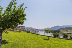 un campo verde con árboles y un río al fondo en Hotel Columbano, en Peso da Régua