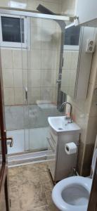 un bagno con doccia, lavandino e WC di E&A apartments a Târgu-Mureş