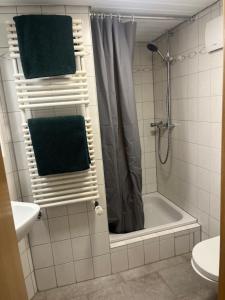 Un baño con ducha, bañera y lavabo. en Schwarzwald-Nest Lenzkirch, en Lenzkirch