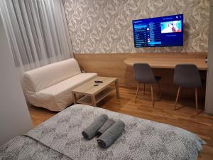 a room with a bed and a desk and a tv at Centar Crnjanski 1 in Jagodina