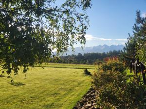 ein Grasfeld mit Bergen im Hintergrund in der Unterkunft Białczańskie Bacówki 2, 4sypialnie in Białka Tatrzańska + 7 Fotos