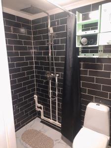 a bathroom with a shower with a toilet and black tiles at Тиха гавань в чарівному містечку in Korsun'-Shevchenkivs'kyy