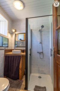ein Badezimmer mit Dusche, Toilette und Waschbecken in der Unterkunft La grange du paris in Saint-Pierre-dʼAlvey