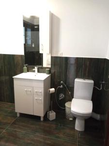 Galeriebild der Unterkunft Vila Sol in Prejmer