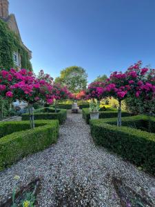Zahrada ubytování Cosy one bedroom flat in a country house