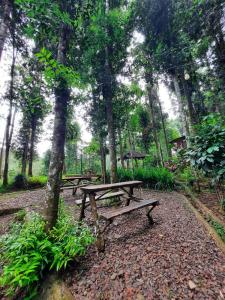 En have udenfor youlien campsite + 29 billeder