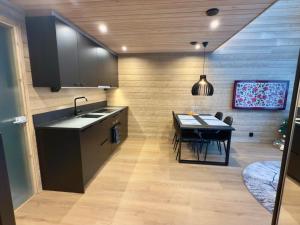 Køkken eller tekøkken på Levi Lapland Luxury Igloos A + 16 billeder