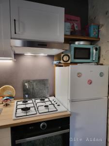 una cucina con fornelli e frigorifero bianco di Le Gite Aïdan a La Puye Altre 5 foto