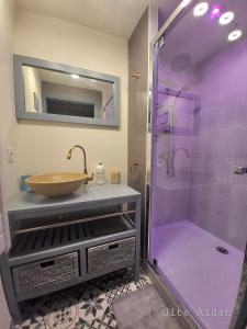 un bagno con lavandino e doccia di Le Gite Aïdan a La Puye