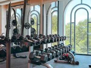 Fitnesscentret og/eller fitnessfaciliteterne på Apartment at the brand new Title Legendary by Lofty