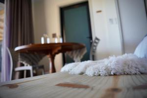 Fotografie z fotogalerie ubytování Seaview Container Studio v destinaci Gansbaai + 14 fotografií