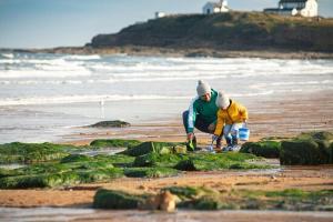 un paio di persone stanno lavorando sulla spiaggia di SummerBreeze Retreat a Hartley