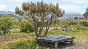 Příroda nedaleko prázdninového domu + 2 fotografie