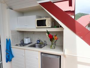 a small kitchen with a sink and a microwave at Village vacances Saint LUCE Studio MARGARITA 35 in Sainte-Luce +28 photos
