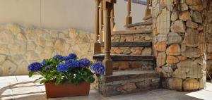 Fotografie z fotogalerie ubytování 7 on Kloof v destinaci Mossel Bay + 1 fotografie