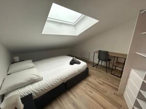 ein Schlafzimmer mit einem Bett und einem Dachfenster in der Unterkunft Beautiful comfortable apartment - Geneva in Prévessin-Moëns