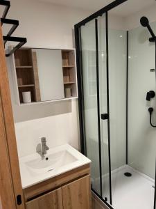 ein Badezimmer mit Waschbecken und Dusche in der Unterkunft Beautiful comfortable apartment - Geneva in Prévessin-Moëns