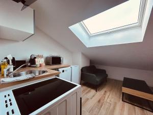 eine Küche mit einem Waschbecken und einem Dachfenster in der Unterkunft Beautiful comfortable apartment - Geneva in Prévessin-Moëns + 10 Fotos