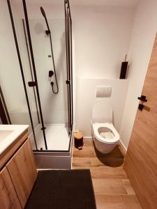 ein Badezimmer mit Dusche und Toilette in der Unterkunft Beautiful comfortable apartment - Geneva in Prévessin-Moëns