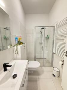 ein weißes Badezimmer mit Dusche und Toilette in der Unterkunft Moderner Neubau nähe Lübeck in Stockelsdorf